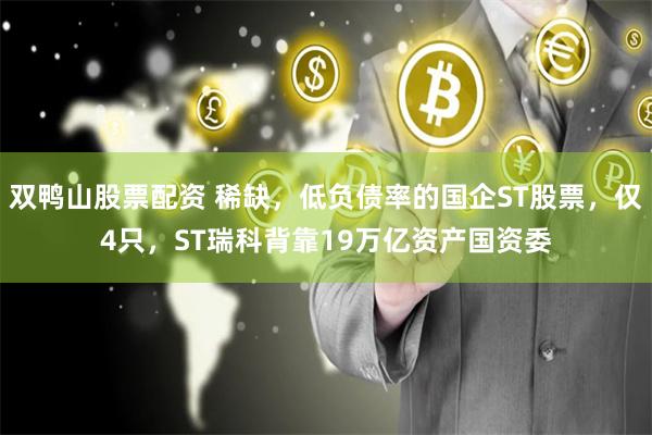 双鸭山股票配资 稀缺，低负债率的国企ST股票，仅4只，ST瑞科背靠19万亿资产国资委