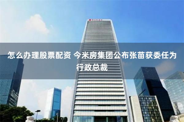 怎么办理股票配资 今米房集团公布张苗获委任为行政总裁