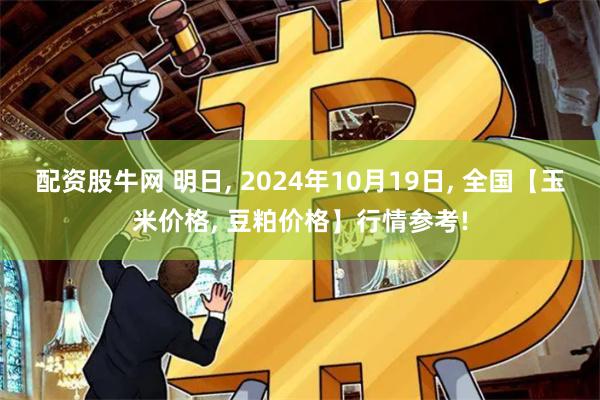 配资股牛网 明日, 2024年10月19日, 全国【玉米价格, 豆粕价格】行情参考!